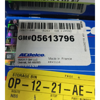 GM05613796-Genuine Holden Spark Plug 05613796-1