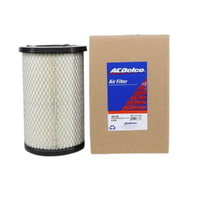 GM19101284-ACDelco Air Filter ACA145 x-ref-A1495 19101284-1