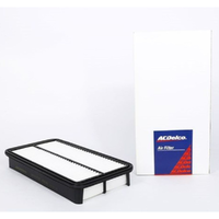 GM19101287-ACDelco Air Filter ACA148 x-ref-A459 19101287-1