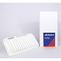 GM19101289-ACDelco Air Filter ACA150 x-ref-A1427 19101289-1
