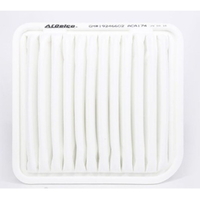 GM19246602-ACDelco Air Filter ACA174 x-ref-A1584 19246602-1