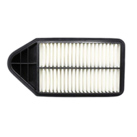GM19246604-ACDelco Air Filter ACA189 x-ref-A1726 19246604-1