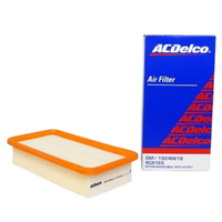 GM19246619-ACDelco Air Filter ACA165 x-ref-A1587 19246619-1