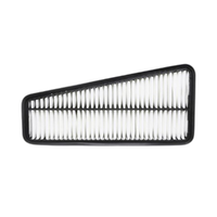 GM19246624-ACDelco Air Filter ACA169 x-ref-A1525 19246624-1
