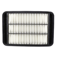 GM19246628-ACDelco Air Filter ACA181 x-ref-A1622 19246628-1