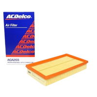 GM19246935-ACDelco Air Filter ACA203 x-ref-A1744 19246935-1