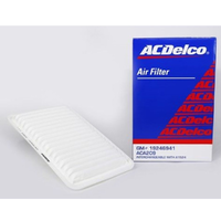 GM19246941-ACDelco Air Filter ACA209 x-ref-A1524 19246941-1