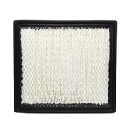 GM19246942-ACDelco Air Filter ACA210 x-ref-A1616 19246942-1