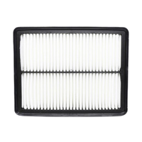 GM19266200-ACDelco Air Filter ACA213 x-ref-A1627 19266200-1