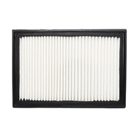 GM19266201-ACDelco Air Filter ACA214 x-ref-A1366 19266201-1