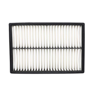 GM19266203-ACDelco Air Filter ACA216 x-ref-A1523 19266203-1