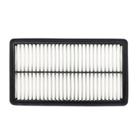 GM19266204-ACDelco Air Filter ACA217 x-ref-A1636 19266204-1