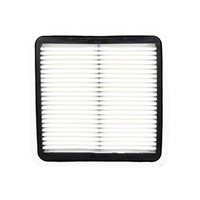 GM19266207-ACDelco Air Filter ACA220 x-ref-A1527 19266207-1