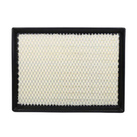 GM19266208-ACDelco Air Filter ACA221 x-ref-A1411 19266208-1