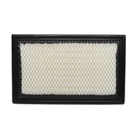 GM19266210-ACDelco Air Filter ACA223 x-ref-A1498 19266210-1