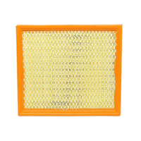 GM19266212-ACDelco Air Filter ACA225 x-ref-A1612 19266212-1
