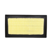 GM19266220-ACDelco Air Filter ACA233 x-ref-A1451 19266220-1