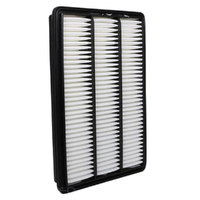 GM19266482-ACDelco Air Filter ACA124 x-ref-A1449 19266482-1