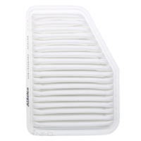 GM19266484-ACDelco Air Filter ACA154 x-ref-A1557 19266484-1