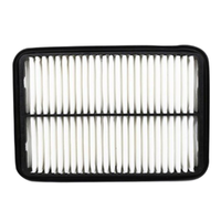 GM19266491-ACDelco Air Filter ACA161 x-ref-A1245 19266491-1