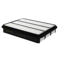 GM19266492-ACDelco Air Filter ACA162 x-ref-A1522 19266492-1