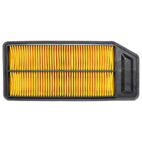 GM19266677-ACDelco Air Filter ACA243 x-ref-A1508 19266677-1
