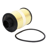 GM19266681-ACDelco Fuel Filter ACF183 x-ref-R2661P 19266681-1