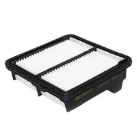 GM19272652-ACDelco Air Filter ACA245 x-ref-A1626 19272652-1