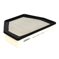 GM19272655-ACDelco Air Filter ACA248 x-ref-A1796 19272655-1
