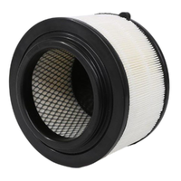 GM19280199-ACDelco Air Filter ACA249 x-ref-A1784 19280199-1