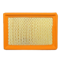 GM19280206-ACDelco Air Filter ACA256 x-ref-A365 19280206-1