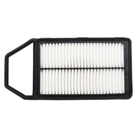 GM19281480-ACDelco Air Filter ACA397 19281480-1
