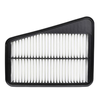 GM19281486-ACDelco Air Filter ACA411 x-ref-A256 19281486-1