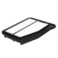 GM19281487-ACDelco Air Filter ACA412 19281487-1