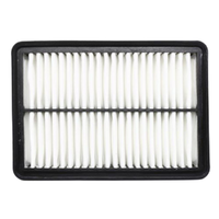 GM19281689-ACDelco Air Filter ACA415 19281689-1