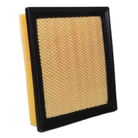 GM19281695-ACDelco Air Filter ACA419 19281695-1