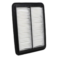GM19315284-ACDelco Air Filter ACA262 x-ref-A1758 19315284-1