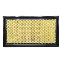 GM19315287-ACDelco Air Filter ACA265 x-ref-A1623 19315287-1