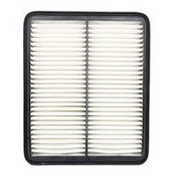 GM19334585-ACDelco Air Filter ACA282 x-ref-A1779/A1740 19334585-1