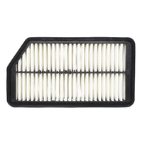 GM19334587-ACDelco Air Filter ACA284 x-ref-A1793 19334587-1
