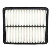GM19334588-ACDelco Air Filter ACA285 x-ref-A1365 19334588-1