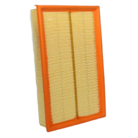 GM19334589-ACDelco Air Filter ACA288 x-ref-A1717 19334589-1