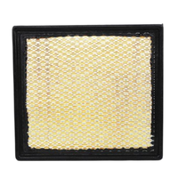 GM19334593-ACDelco Air Filter ACA286 x-ref-A1838 19334593-1