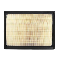 GM19334594-ACDelco Air Filter ACA287 x-ref-A1812 19334594-1