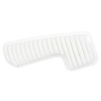 GM19346880-ACDelco Air Filter ACA295 x-ref-A1566 19346880-1