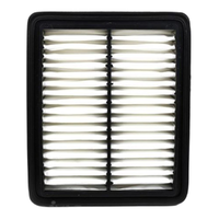 GM19346884-ACDelco Air Filter ACA299 x-ref-A1420 19346884-1