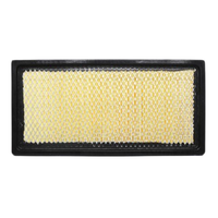 GM19346897-ACDelco Air Filter ACA312 x-ref-A1331 19346897-1
