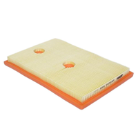 GM19346918-ACDelco Air Filter ACA333 x-ref-A1841 19346918-1