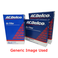 GM19346924-ACDelco Air Filter ACA339 x-ref-A1849 19346924-1