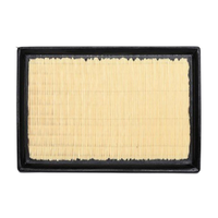 GM19346924-ACDelco Air Filter ACA339 x-ref-A1849 19346924-1